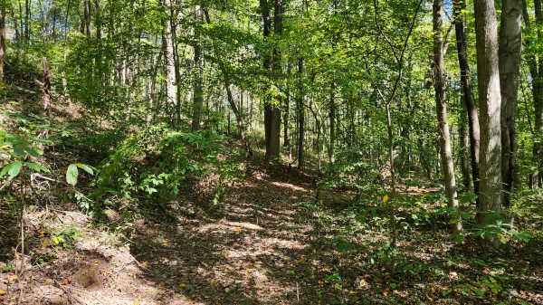 The Ponds at Poplar Ridge – Tract 14 property photo