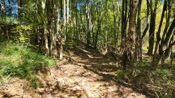 The Ponds at Poplar Ridge – Tract 14 property photo