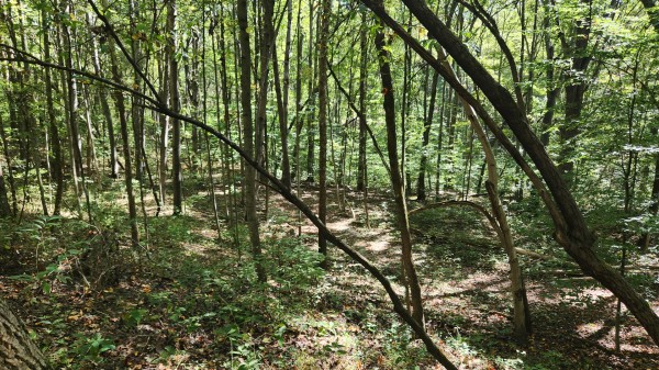 More of The Ponds at Poplar Ridge – Tract 14