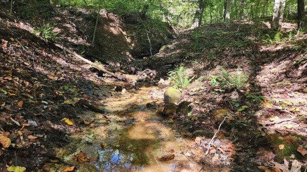 More of The Ponds at Poplar Ridge – Tract 14