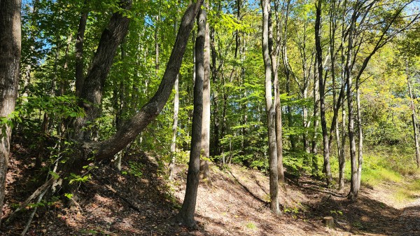 The Ponds at Poplar Ridge – Tract 14 property photo
