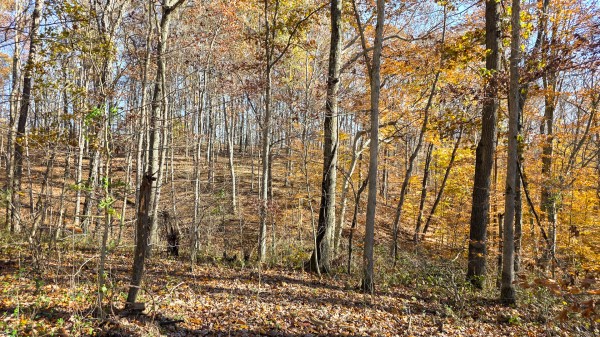 The Ponds at Poplar Ridge – Tract 11 property photo