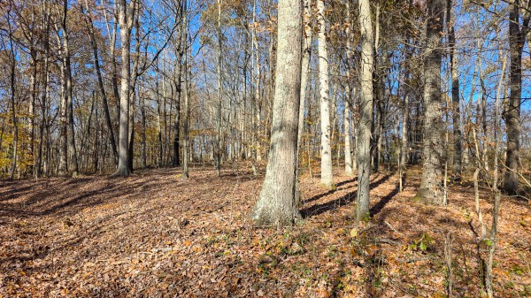 The Ponds at Poplar Ridge – Tract 11 property photo