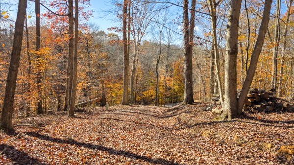 The Ponds at Poplar Ridge – Tract 11 property photo