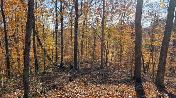 The Ponds at Poplar Ridge – Tract 11 property photo