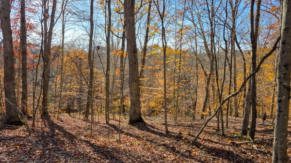 The Ponds at Poplar Ridge – Tract 11 property photo