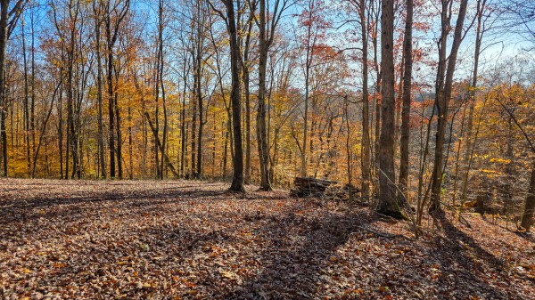 The Ponds at Poplar Ridge – Tract 11 property photo