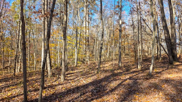 The Ponds at Poplar Ridge – Tract 11 property photo
