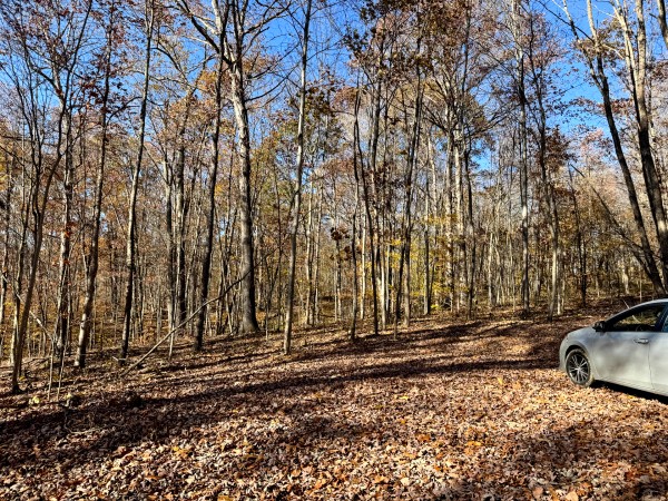 The Ponds at Poplar Ridge – Tract 11 property photo