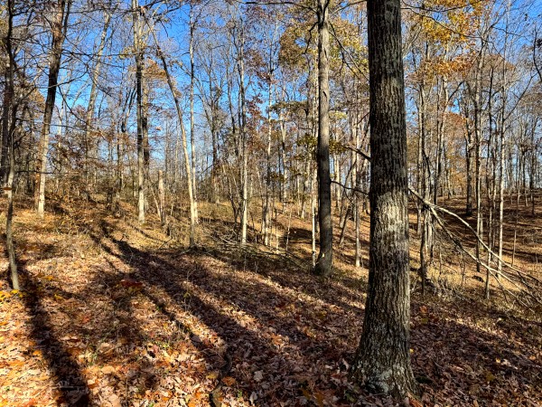 The Ponds at Poplar Ridge – Tract 11 property photo