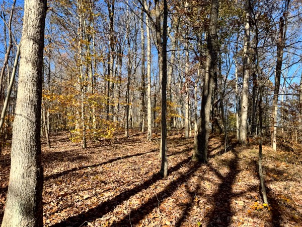 The Ponds at Poplar Ridge – Tract 11 property photo