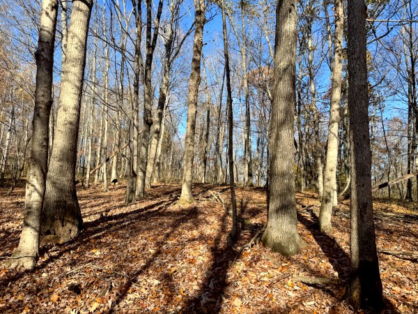 The Ponds at Poplar Ridge – Tract 11 property photo