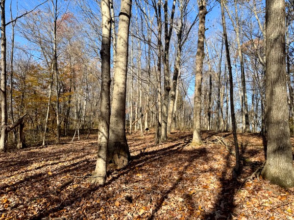 The Ponds at Poplar Ridge – Tract 11 property photo