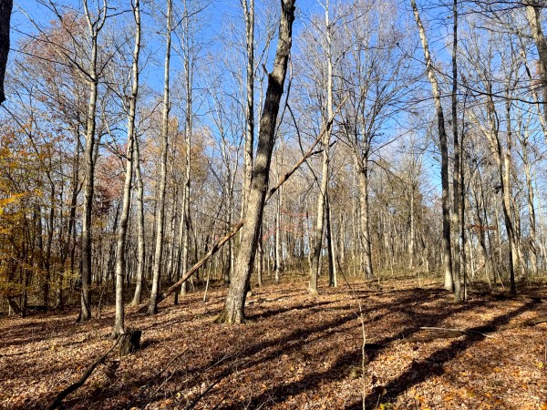The Ponds at Poplar Ridge – Tract 11 property photo