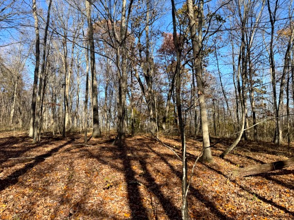 The Ponds at Poplar Ridge – Tract 11 property photo
