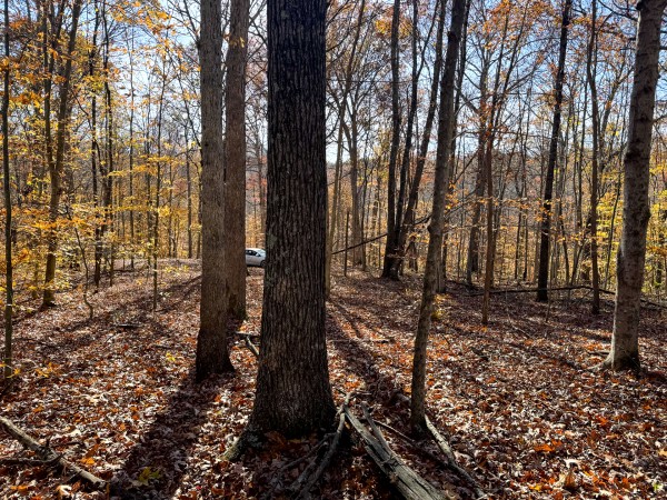 The Ponds at Poplar Ridge – Tract 11 property photo
