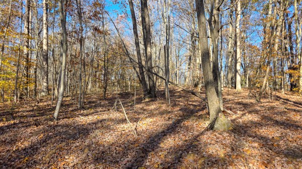 More of The Ponds at Poplar Ridge – Tract 11