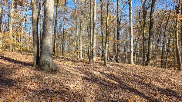 More of The Ponds at Poplar Ridge – Tract 11