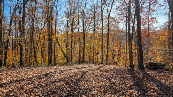 More of The Ponds at Poplar Ridge – Tract 11