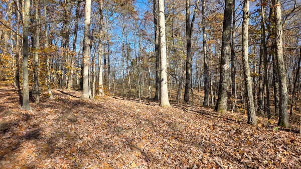 The Ponds at Poplar Ridge – Tract 11 property photo