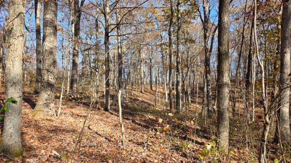 The Ponds at Poplar Ridge – Tract 11 property photo