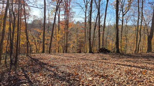 The Ponds at Poplar Ridge – Tract 11 property photo