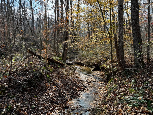 Lot 4 - The Woods at Turkey Run property photo