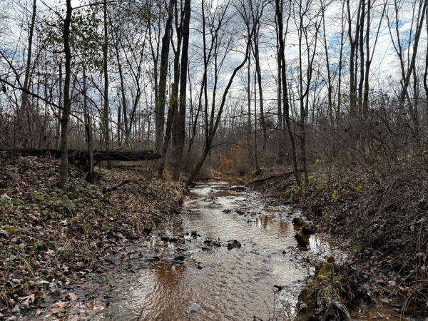 Lot 4 - The Woods at Turkey Run property photo