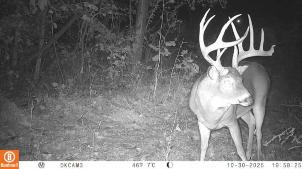 Lot 4 - The Woods at Turkey Run property photo