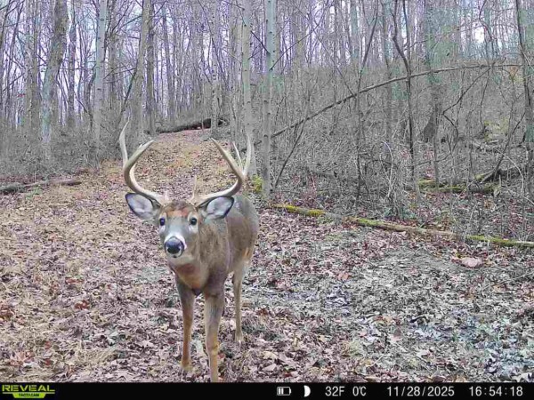 Lot 4 - The Woods at Turkey Run property photo