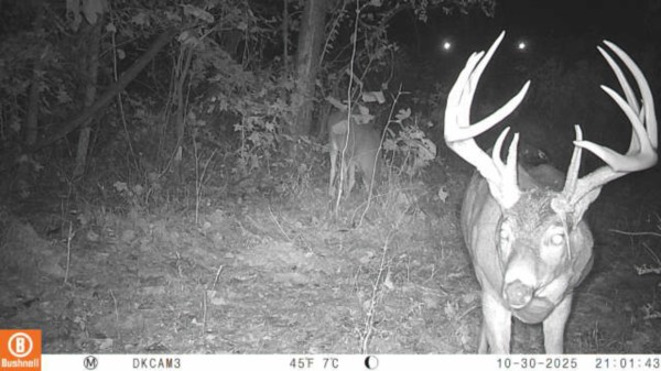 Lot 4 - The Woods at Turkey Run property photo