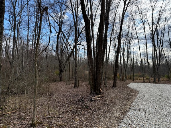 Lot 4 - The Woods at Turkey Run property photo
