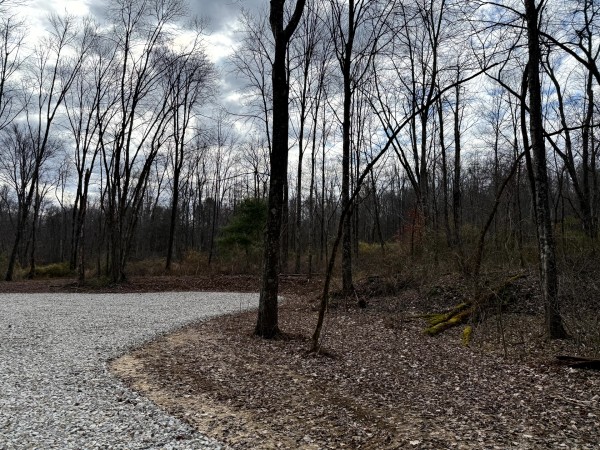 Lot 4 - The Woods at Turkey Run property photo