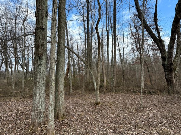 Lot 4 - The Woods at Turkey Run property photo