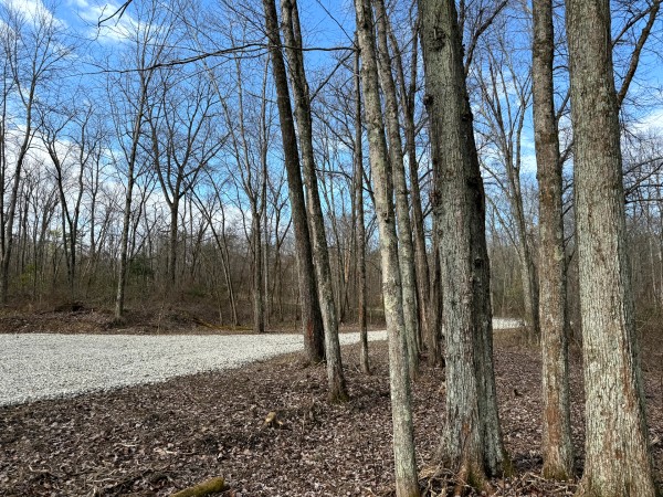 Lot 4 - The Woods at Turkey Run property photo