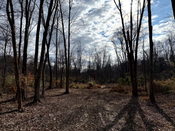 Lot 4 - The Woods at Turkey Run property photo