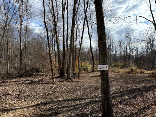 Lot 4 - The Woods at Turkey Run property photo