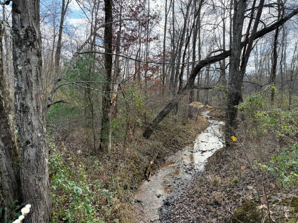 Lot 4 - The Woods at Turkey Run property photo