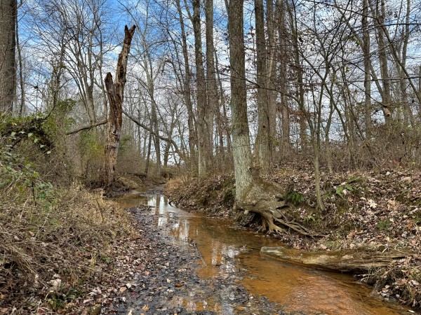 Lot 4 - The Woods at Turkey Run property photo