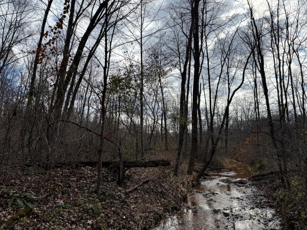 Lot 4 - The Woods at Turkey Run property photo