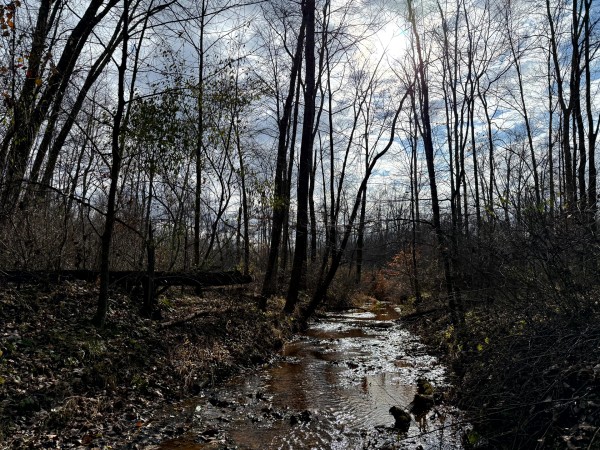 Lot 4 - The Woods at Turkey Run property photo