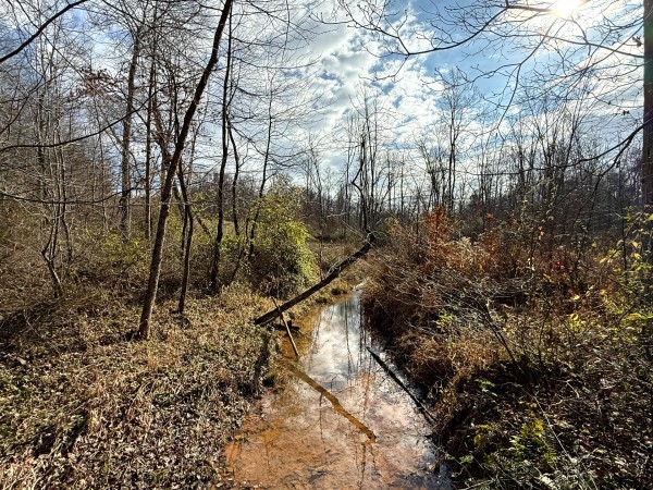 Lot 4 - The Woods at Turkey Run property photo