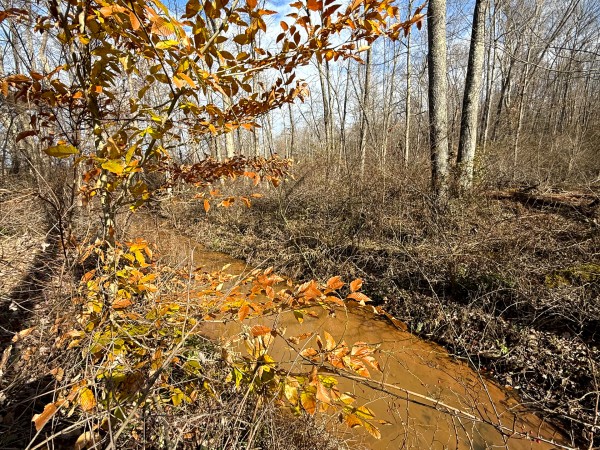 Lot 4 - The Woods at Turkey Run property photo