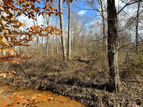 Lot 4 - The Woods at Turkey Run property photo