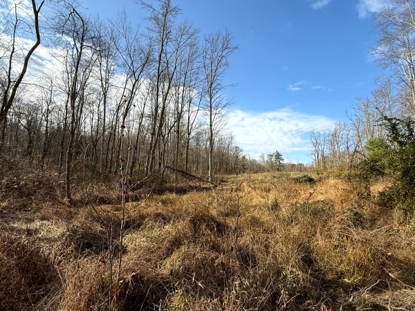 Lot 4 - The Woods at Turkey Run property photo