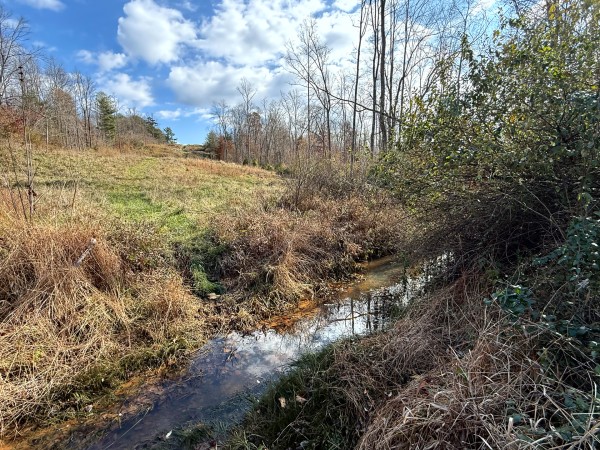 Lot 4 - The Woods at Turkey Run property photo