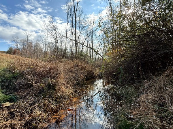 Lot 4 - The Woods at Turkey Run property photo