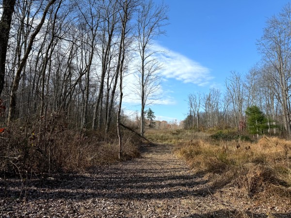 Lot 4 - The Woods at Turkey Run property photo