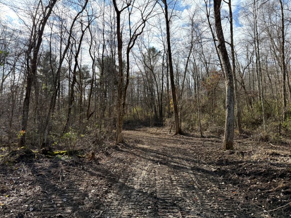 Lot 4 - The Woods at Turkey Run property photo