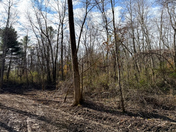 Lot 4 - The Woods at Turkey Run property photo